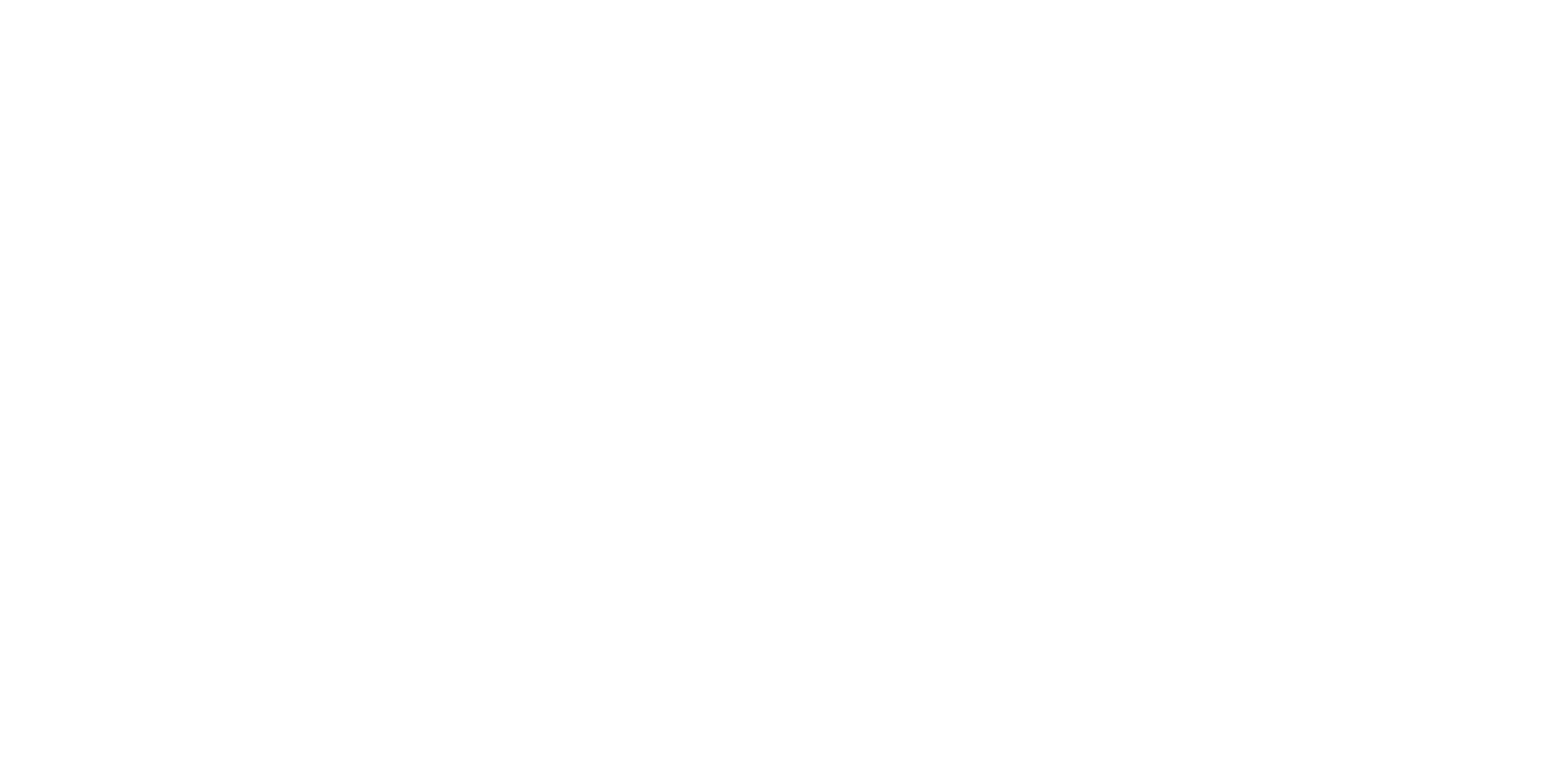 FT Security Service
